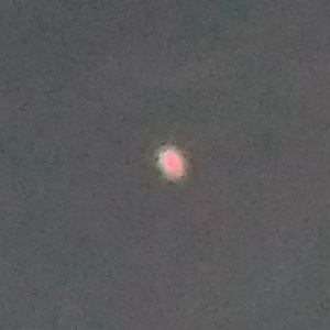 DSCF6867 - Venus 26-10-13