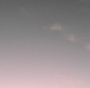 Venus rising 27-10-13
