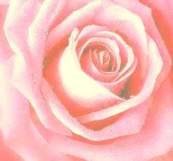 for your heart - Copy - Copy