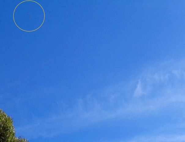 DSC03084 - cylinder ship_pleiadian - Copy