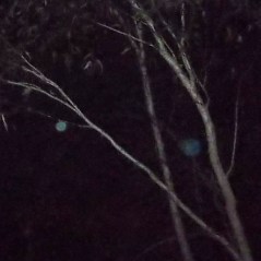 Sirian Blue Lodge orbs Feb 1, 2014