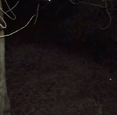 The grove, empty (Feb 15, 2014)