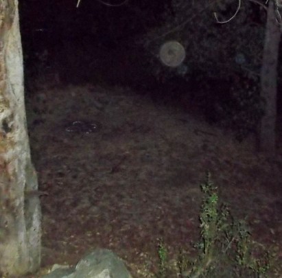 Orb with large hole arrives for healing, assisted by two small orbs.