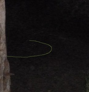 Visible rim-line marked in.