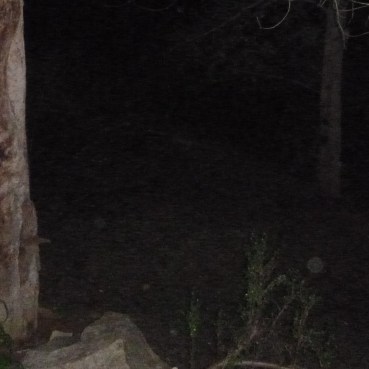 The small disc ship lands on the ground, into 4D, deeply cloaked. It's rim is just visible; see second pic.