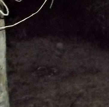 Photo 16-2-14 Ashtar semi-materialized to right of the Sacred Circle; head, shoulders, upper chest visible.