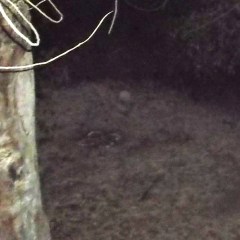 DSCF0837 - Copya - Copy