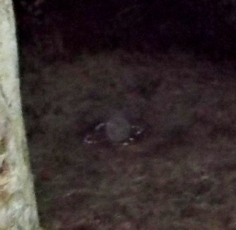 Photo March 1, 2014: Ashtar's orb sitting in the centre of the Sacred Circle.