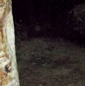 DSCF1294 - Copy - Copy