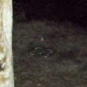 DSCF1342 - Copy - Copy