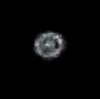 Bird being face, neck and shoulders (with white beak), inside ring of lights.