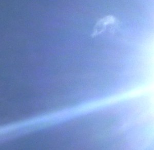 P1000900 - Copy - Copy