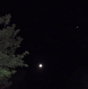 ...then into an eagle form...