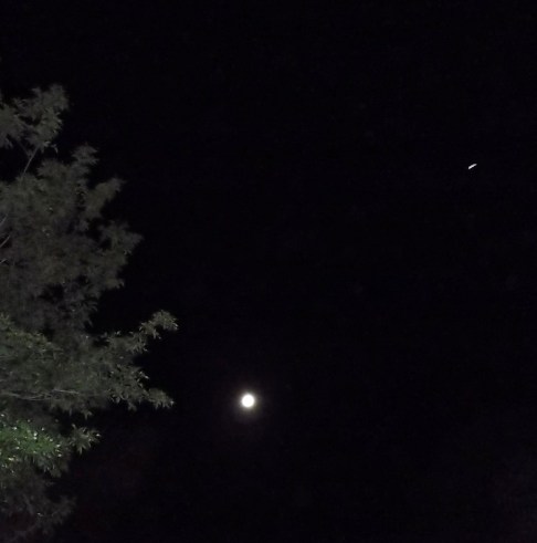 ...then into an eagle form...