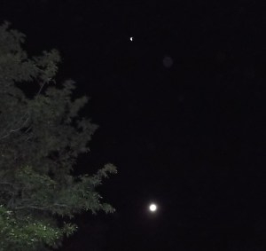 Ashtar projects as a dove, above moon.