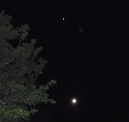 Ashtar projects as a dove, above moon.