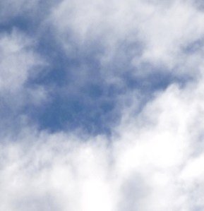 Photo taken May 4, 2014.