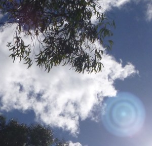 Photo May 11th, 2014, Darlington, Western Australia.