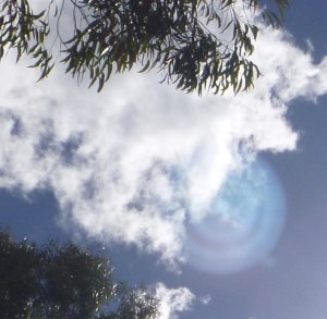 Photo May 11th, 2014, Darlington, Western Australia.