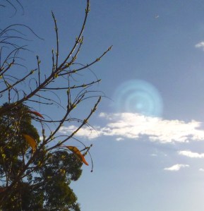 'Mastery of Time is inherent in rings and spirals.' Photo May 11, 2014.