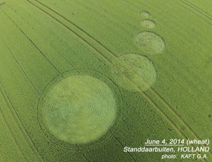 Crop Circle Standdbuitten, Holland, reported June 4, 2014. 