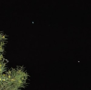Leonine ship arrives above the crescent moon, June 29, 2014.