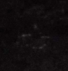 DSCF2800 - Copy - Copy - Copy