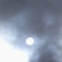 P1020012 - Copy - Copy