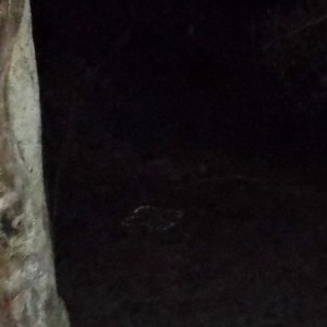 DSCF2859circle suspended above ground_shadows beneath