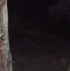 DSCF2863 objects appear on ground