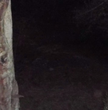 DSCF2863 objects appear on ground