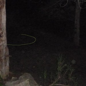 P1010947 ship on ground