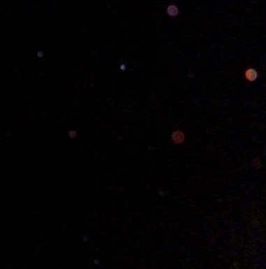 Colours of Love: rainbow orbs, photo taken December 6, 2014.