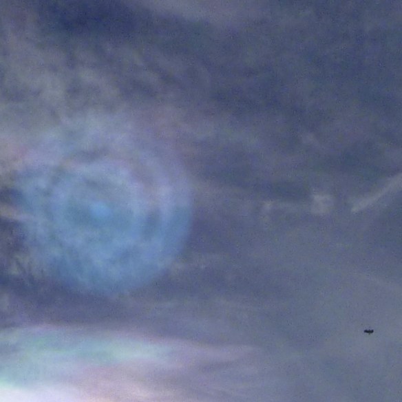 P1020363 - Copy - Copy