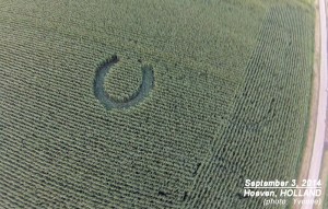 Photo taken by Yvonne Boschman, Sept 3, 2014, Hoeven, Holland: see Crop Circle Connector, BLT Research, Robbert van den Broeke.