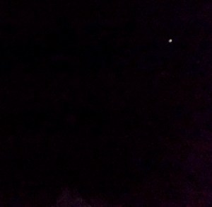 Alpha Centauri ship, Oct.14, 2014.