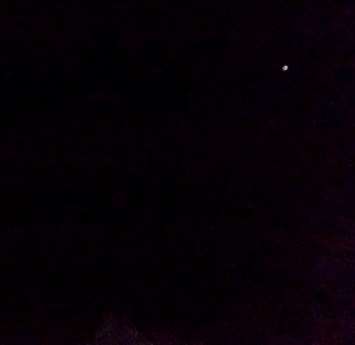 Alpha Centauri ship, Oct.14, 2014.