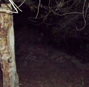 Orbs in pairs descend diagonally into the sacred circle, Jan. 22, 2014.