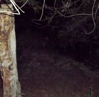 Orbs in pairs descend diagonally into the sacred circle, Jan. 22, 2014.