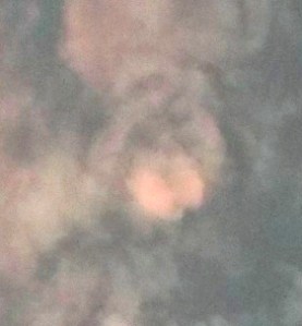 Arnap and pink butterfly, Jan. 23, 2015.