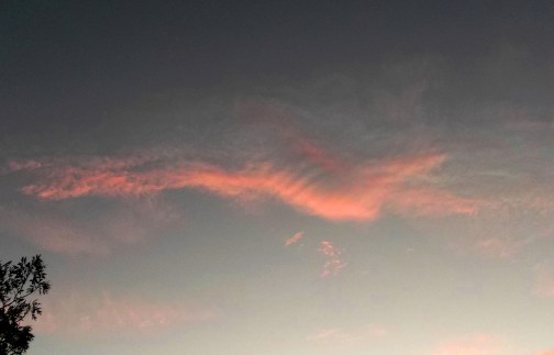 Flying Swan cloud, Jan. 23, 2015.