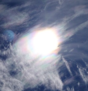 P1020362 - Copy - Copy - Copy (2)