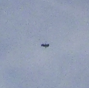 P1020363 - Copy - Copy - Copy - Copy