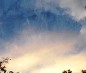 5-1-15 close-up - Copy