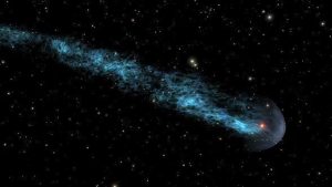 Mira, red star/seed within the shielding bow, with a blue-white 13 light year tail.