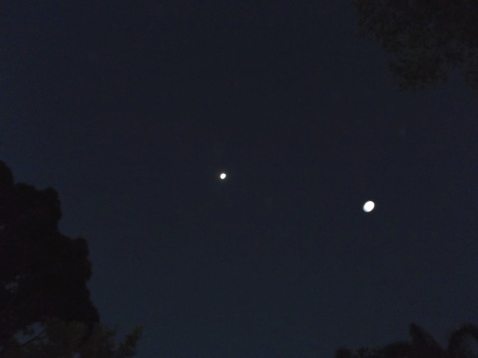 Two bright white-light disc-shaped ships fly in over the garden, late 2013.