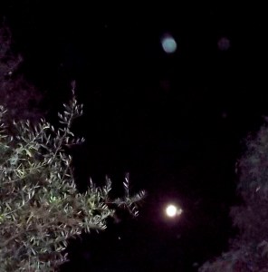 DSCF0588 - Copy - Copy