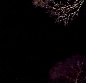 Ship flies overhead, April 26, 2015. In this photo, Venus is at the bottom left of the frame, and the ship is directly above it.