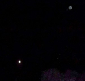 DSCF5850 - Copy - Copy (2)