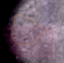 Beautiful leonine face.